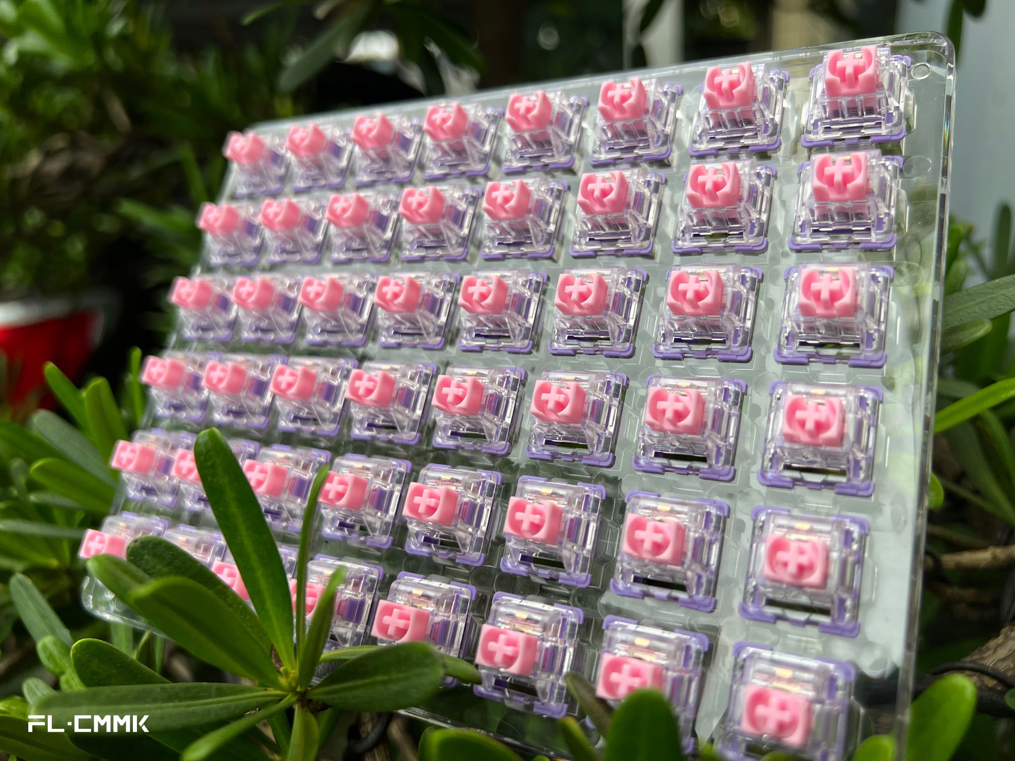 Set 48 switch bàn phím FL CMMK ( Cercis switch )
