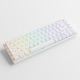  Bàn phím cơ AKKO 3068 v2 RGB – White (Foam tiêu âm / Hotswap / AKKO CS Jelly switch) 