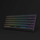  Bàn phím cơ AKKO 3084 v2 RGB – Black (Foam tiêu âm / Hotswap / AKKO CS Jelly switch) 