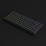  Bàn phím cơ AKKO 3084 v2 RGB – Black (Foam tiêu âm / Hotswap / AKKO CS Jelly switch) 