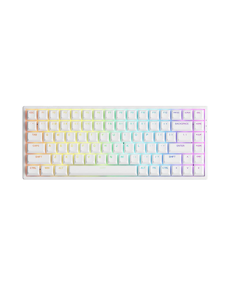  Bàn phím cơ AKKO 3084 v2 RGB – White (Foam tiêu âm / Hotswap / AKKO CS Jelly switch) 