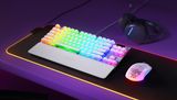  Bàn phím cơ Steelseries Apex 7 TKL Ghost 