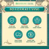  Nghệ mật ong đông trùng hạ thảo Phương Nam 500 và 1000 viên 