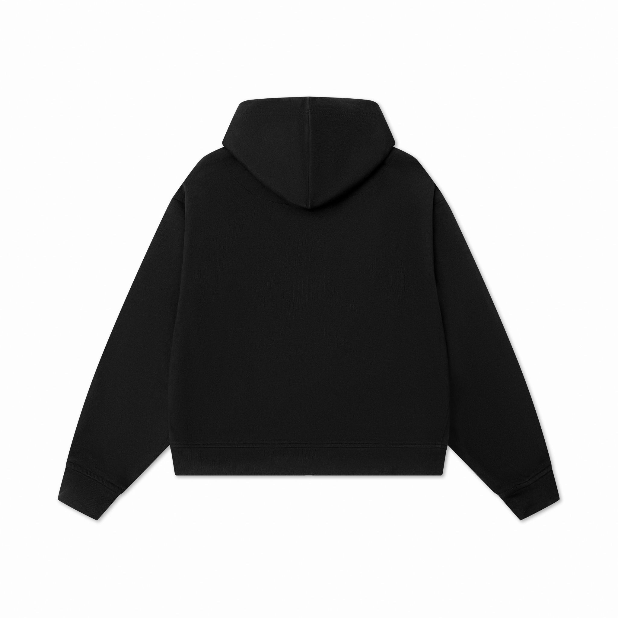  23'FZ hoodie / Black / Eclipse 
