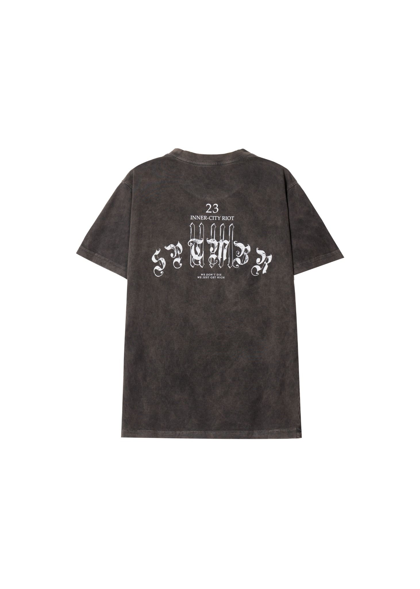  23ICR washed tee 