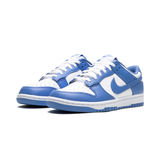 Nike Dunk Low Retro Polar Blue