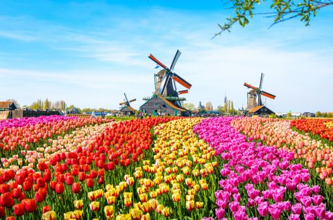 TOUR HÀ NỘI - PHÁP - THỤY SỸ - ÁO – ĐỨC
