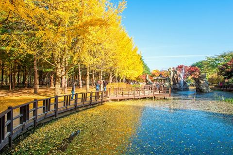 HÀ NỘI – SEOUL – ELYSIAN – LOTTE WORLD 5N4Đ