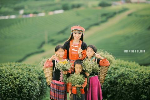 HÀ NỘI - MỘC CHÂU - CẦU KÍNH BẠCH LONG - HÀ NỘI