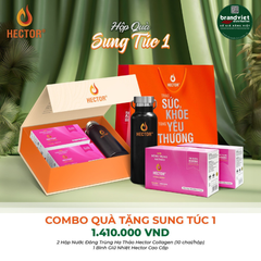 QUÀ TẾT 2024 - COMBO QUÀ SUNG TÚC 1