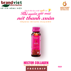 2- Nước uống đông trùng hạ thảo Hector Collagen