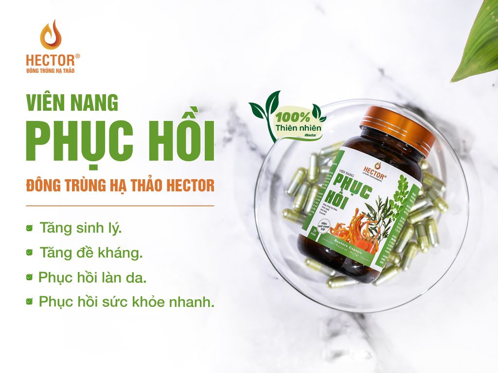 VIÊN NANG ĐÔNG TRÙNG HẠ THẢO HECTOR PHỤC HỒI HỘP 30 VIÊN