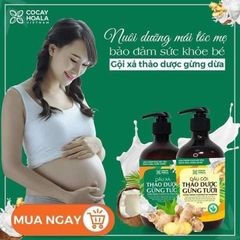 COMBO DẦU GỘI XẢ GỪNG DỪA HỮU CƠ CỎ CÂY HOA LÁ - NGĂN RỤNG TÓC, KÍCH THÍCH TÓC MỌC NHANH, TÓC ĐẸP CHUẨN MC