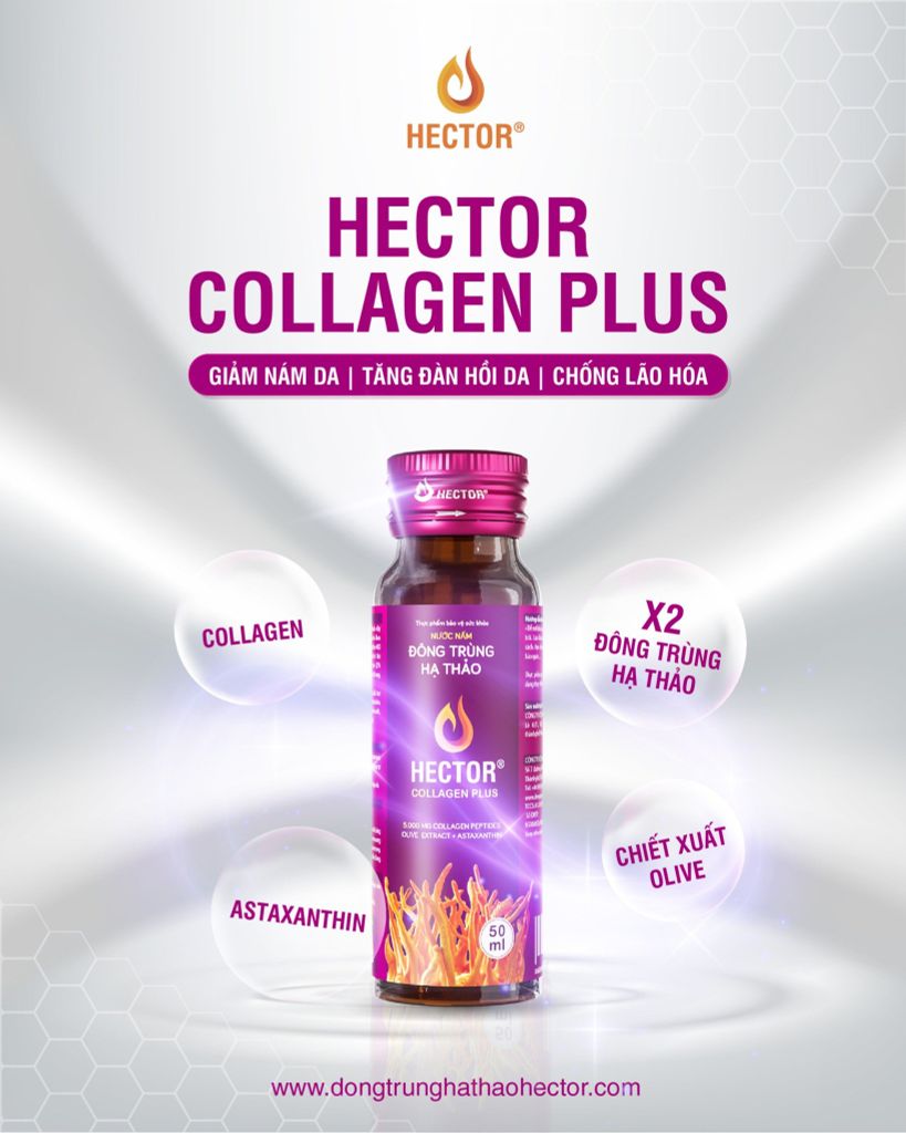 Nước đông trùng hạ thảo Hector Collagen Plus