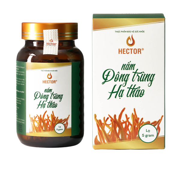 Đông Trùng Hạ Thảo Hector Sấy Thăng Hoa 5gram 1 hộp