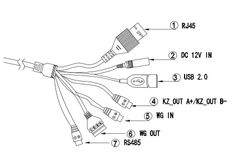 Thiết bị nhận diện khuôn mặt AI Model: DAH-1013