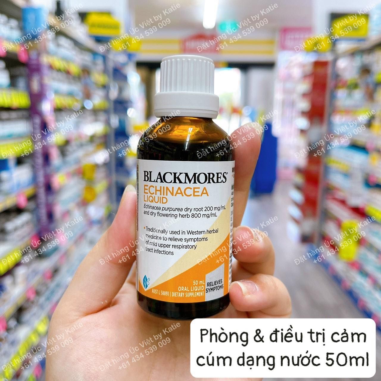 Phòng và điều trị cảm cúm dạng nước – Blackmores Echinacea Liquid 50mL