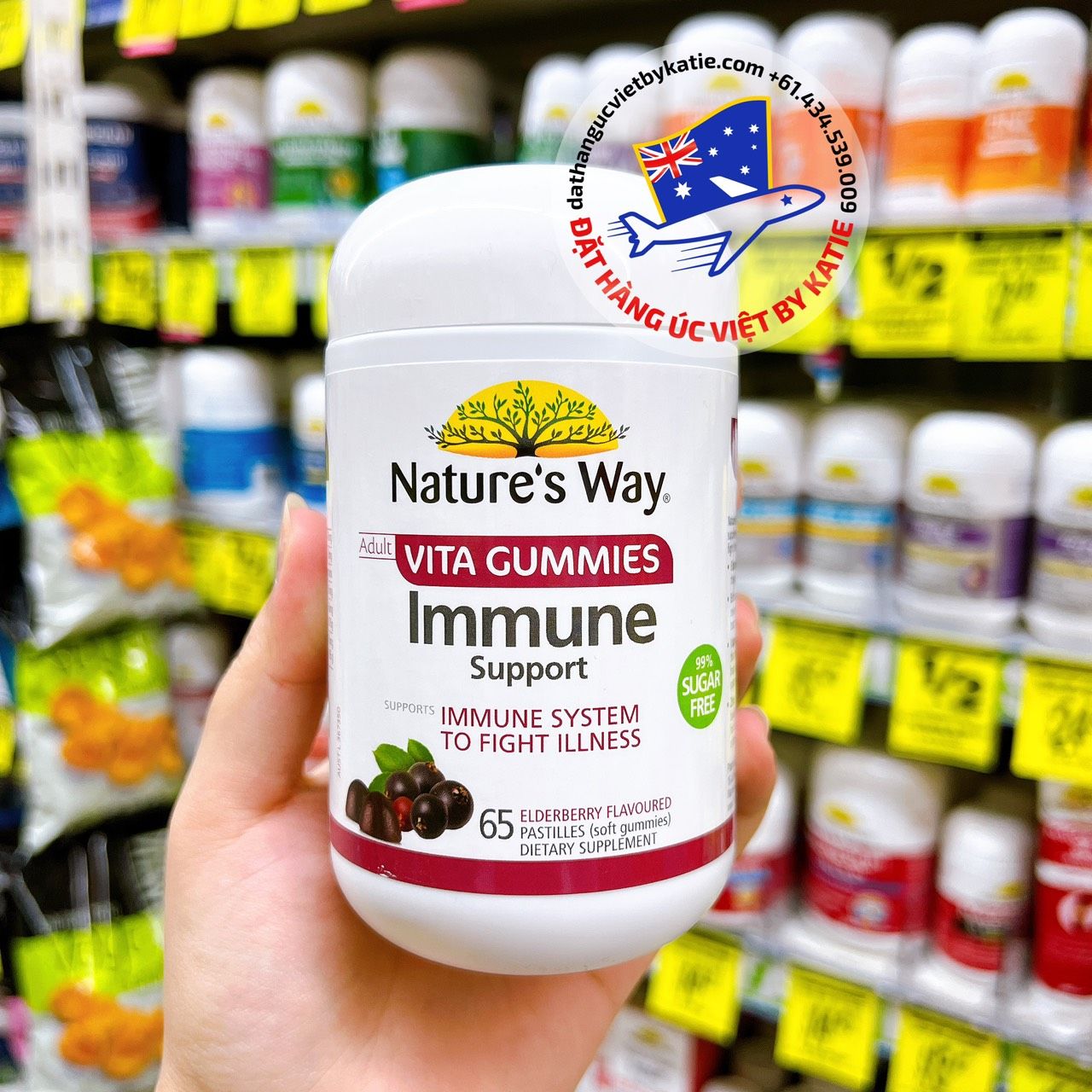 Kẹo mềm tăng đề kháng dành cho người lớn Nature's Way Adult Vita Gummies Immune Sugar Free 65 Pastilles