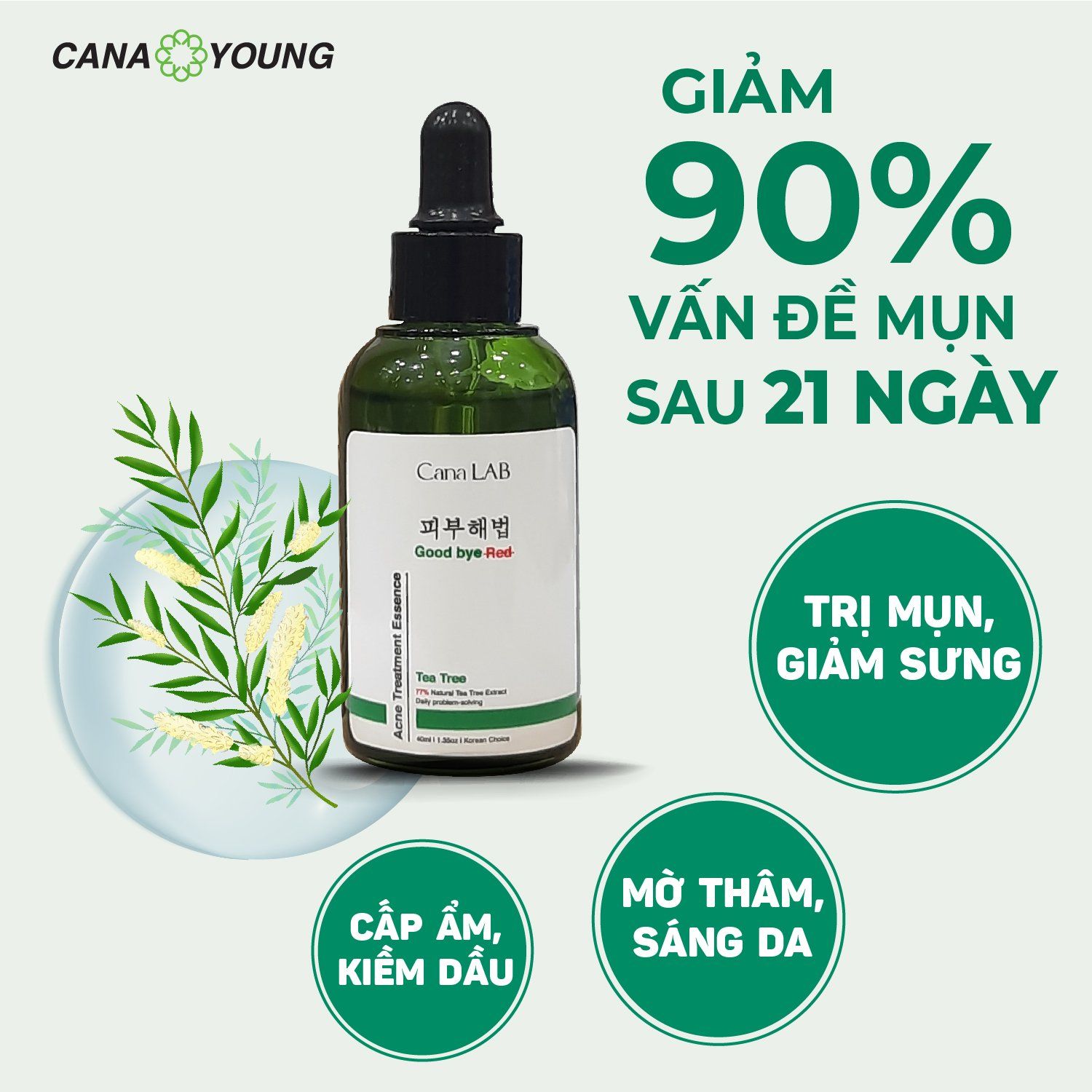 Tinh chất giảm mụn và ngừa mụn tái phát chiết xuất tràm trà Cana LAB Tee Trea Essence
