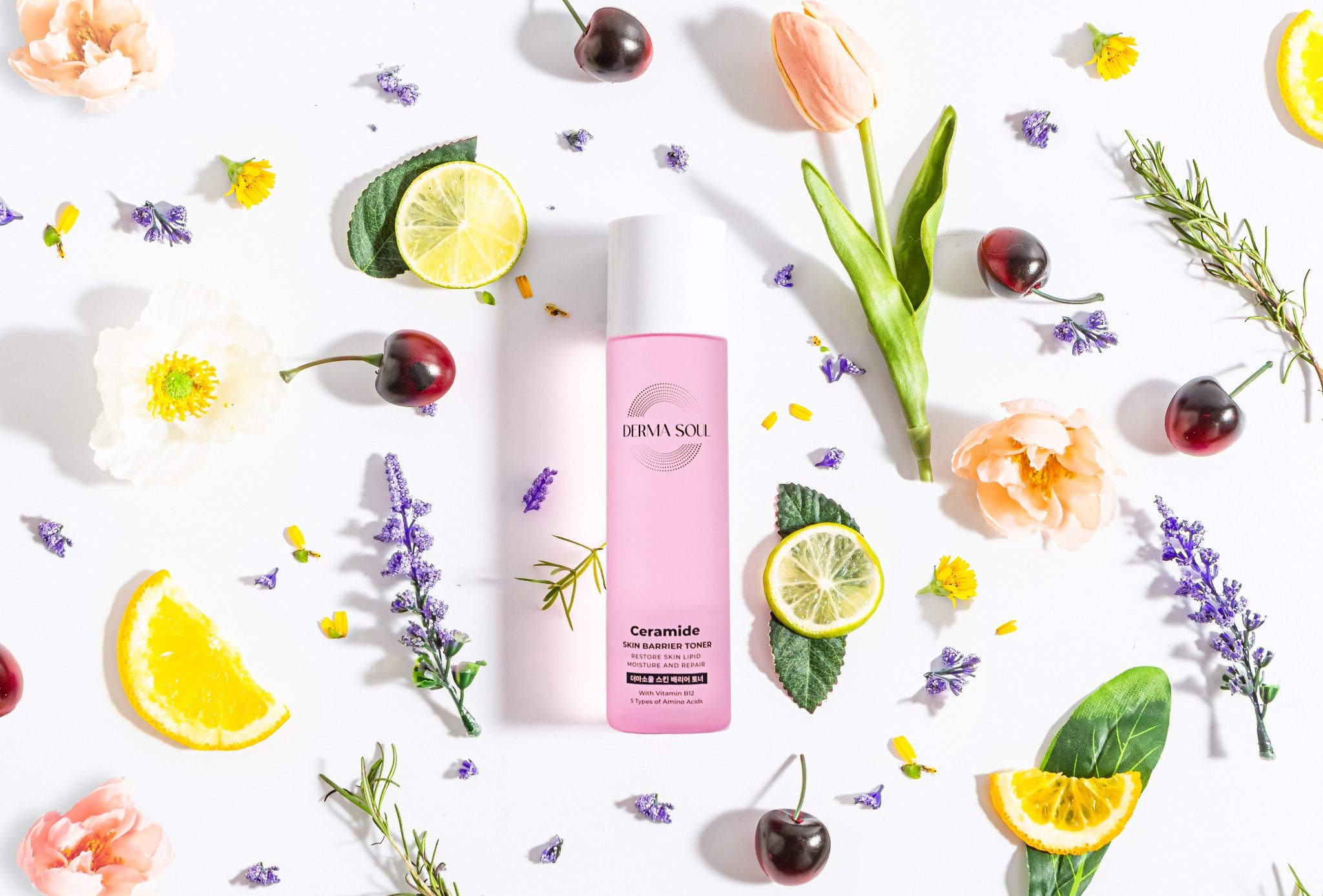 Nước hoa hồng phục hồi da Derma Soul Ceramide Skin Barrier