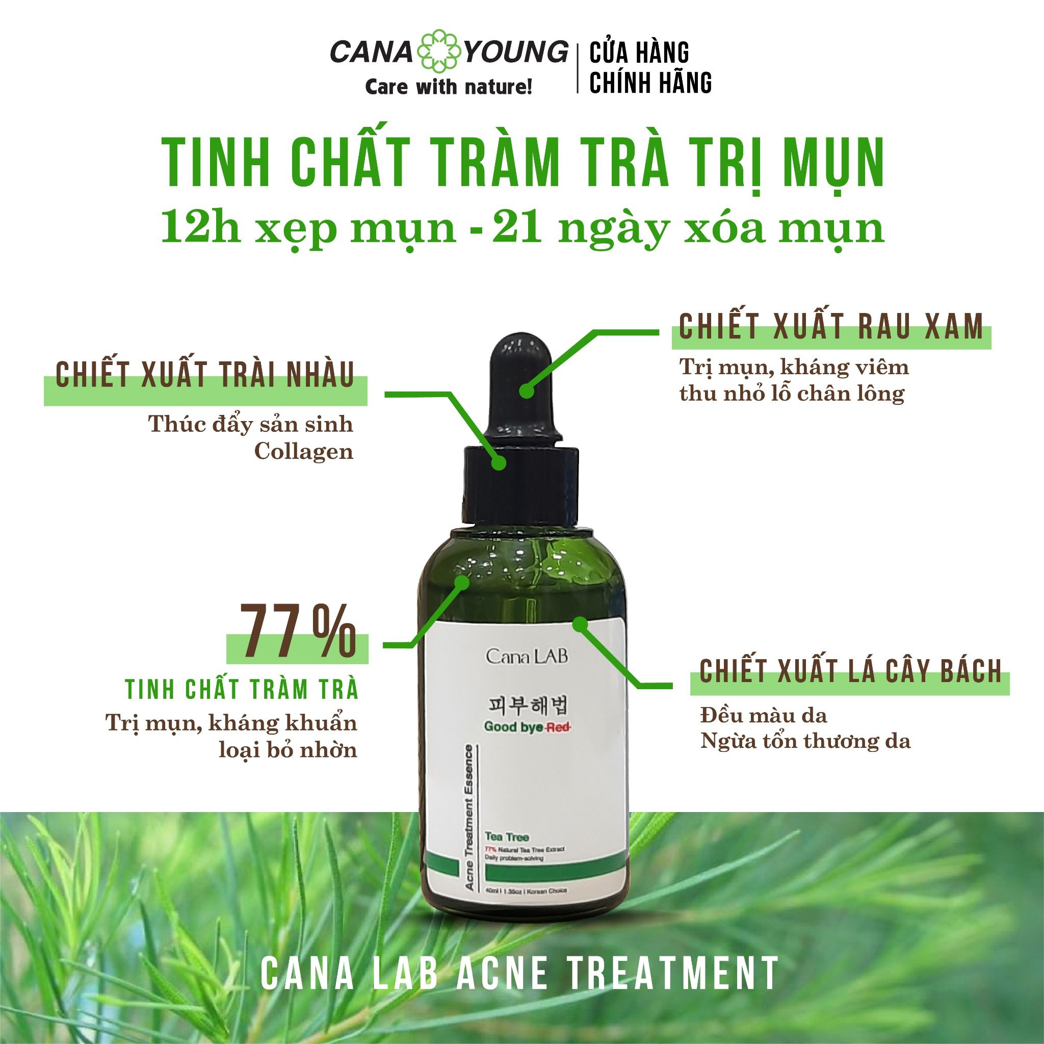 Tinh chất giảm mụn và ngừa mụn tái phát chiết xuất tràm trà Cana LAB Tee Trea Essence