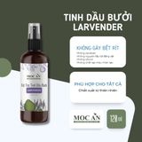 X3BLA120 - Combo 3 Chai Xịt Tinh Dầu Vỏ Bưởi Da Xanh & Tinh Dầu Oải Hương Mộc Ân Haircare 120ml Hỗ Trợ Giảm Rụng, Mọc Tóc Chăm Sóc Tóc