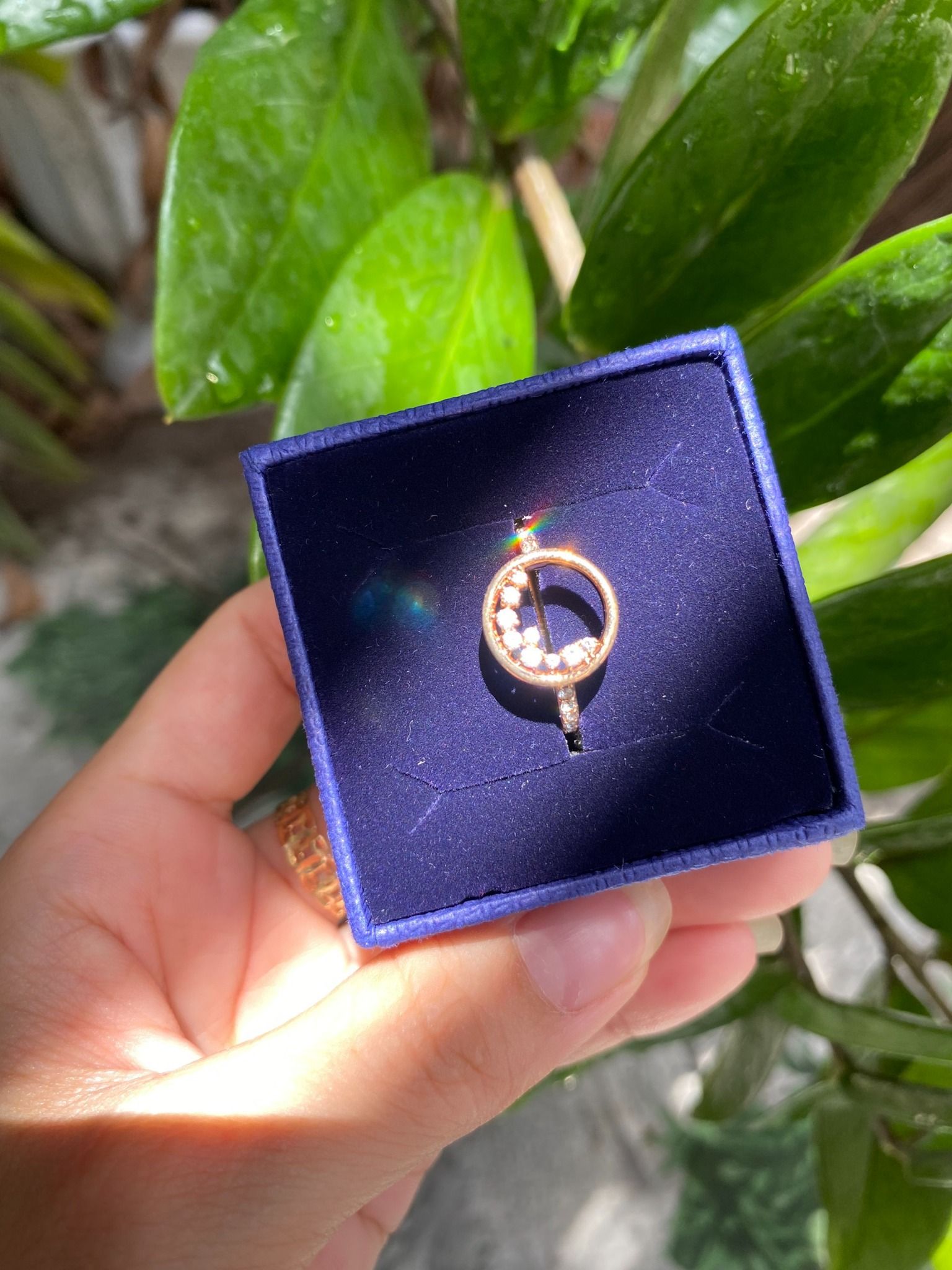 Nhẫn Swarovski North size 52 - Swarovski North Motif Rose Gold Plated Ring, Size 52