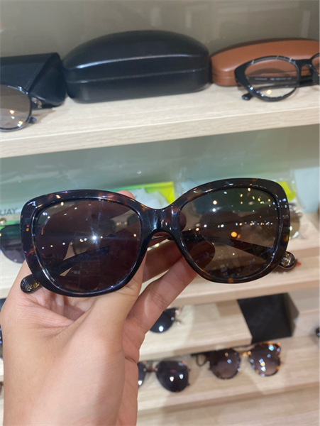 (SALE-SUN) Mắt kính thời trang Coach Sunglasses HC 8291 503173 54 Dark Tortoise