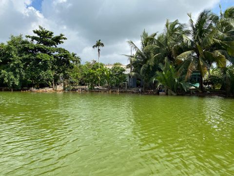 Bán đất ruộng xã Phú Hữu, Nhơn Trạch, Đồng Nai, diện tích 2545m2 đất trồng lúa nước