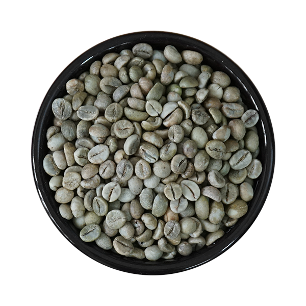 Cà phê nhân xanh Robusta chín 90% (sơ chế Khô), Sàng 18/16