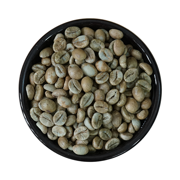 Cà phê nhân xanh Robusta chín 98% (sơ chế Khô), Sàng 18/16