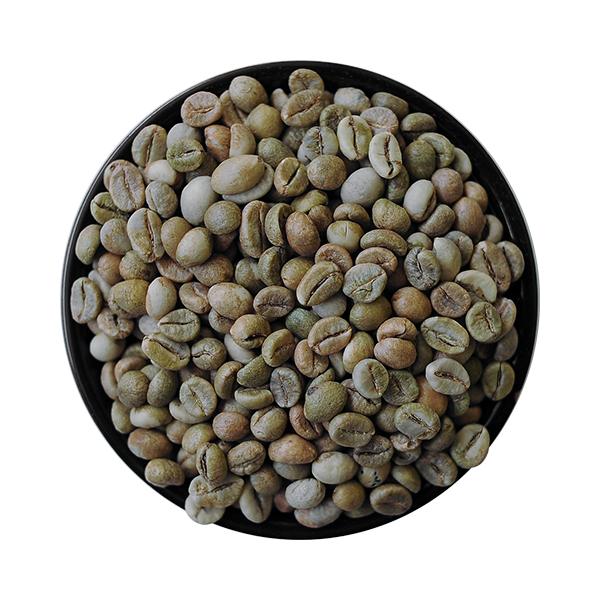 Cà phê nhân xanh Robusta Clean, Sàng 18/16