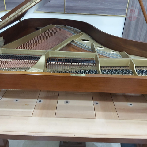 Dịch vụ vệ sinh đàn Grand Piano