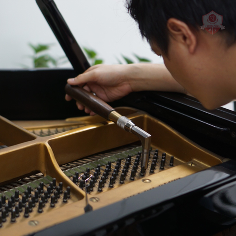 Dịch vụ chỉnh dây Grand Piano