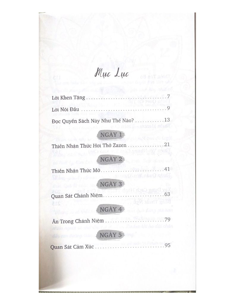 10 Ngày Hành Thiền - Vanlangbooks