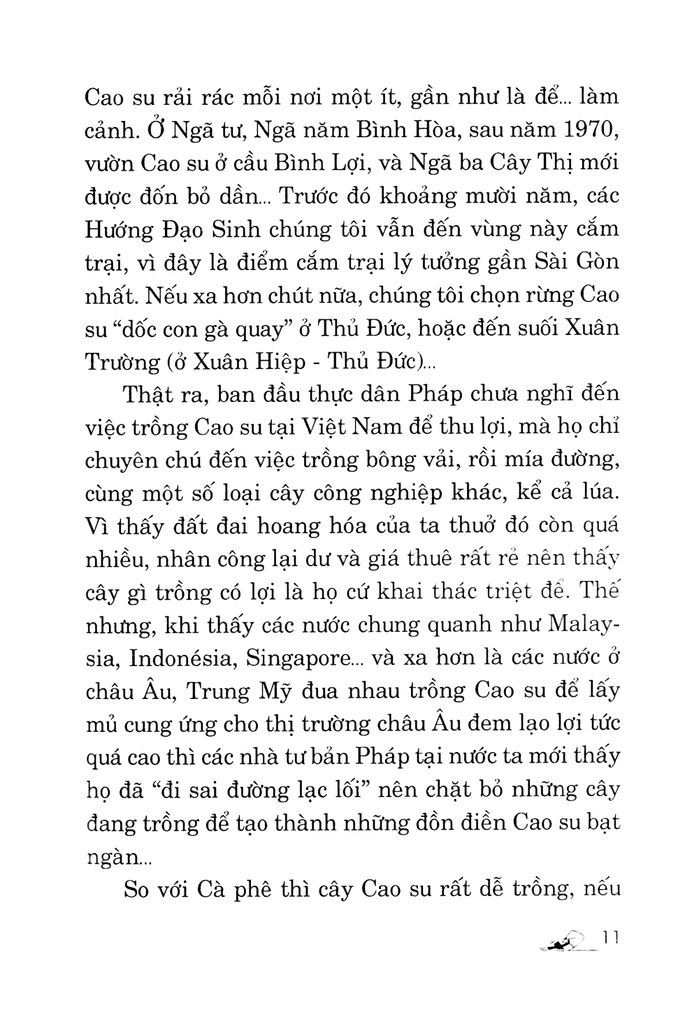 Kỹ Thuật Trồng Cây Cao Su Với Diện Tích Nhỏ