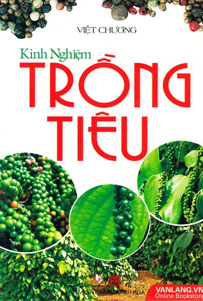 Kinh Nghiệm Trồng Tiêu