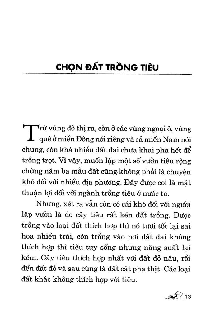 Kinh Nghiệm Trồng Tiêu