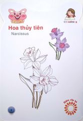 Bé tô màu -Các loài hoa - Huy Hoàng