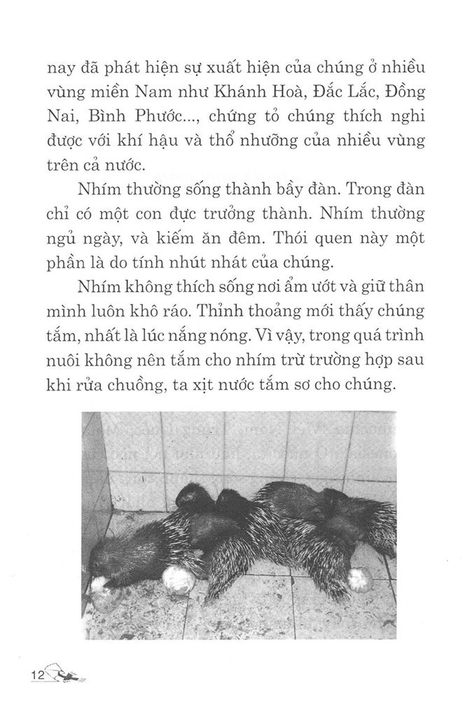 Kỹ Thuật Nuôi Nhím Và Dúi