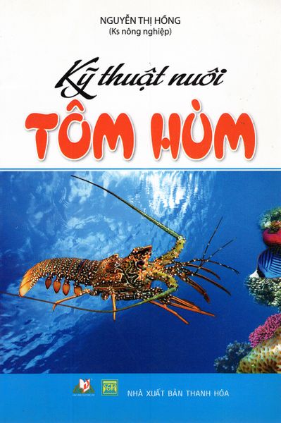 Kỹ Thuật Nuôi Tôm Hùm