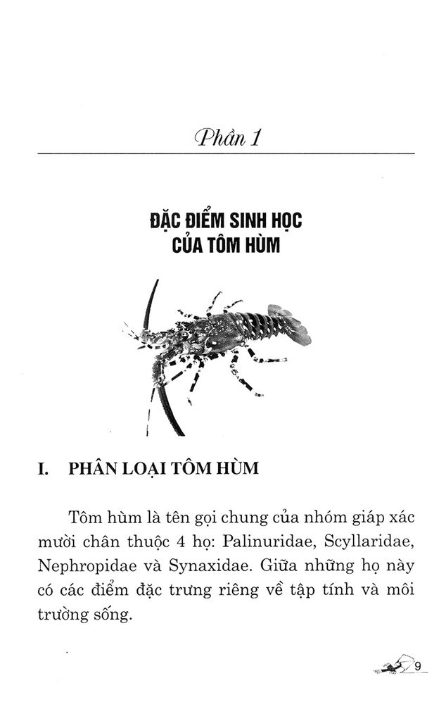 Kỹ Thuật Nuôi Tôm Hùm