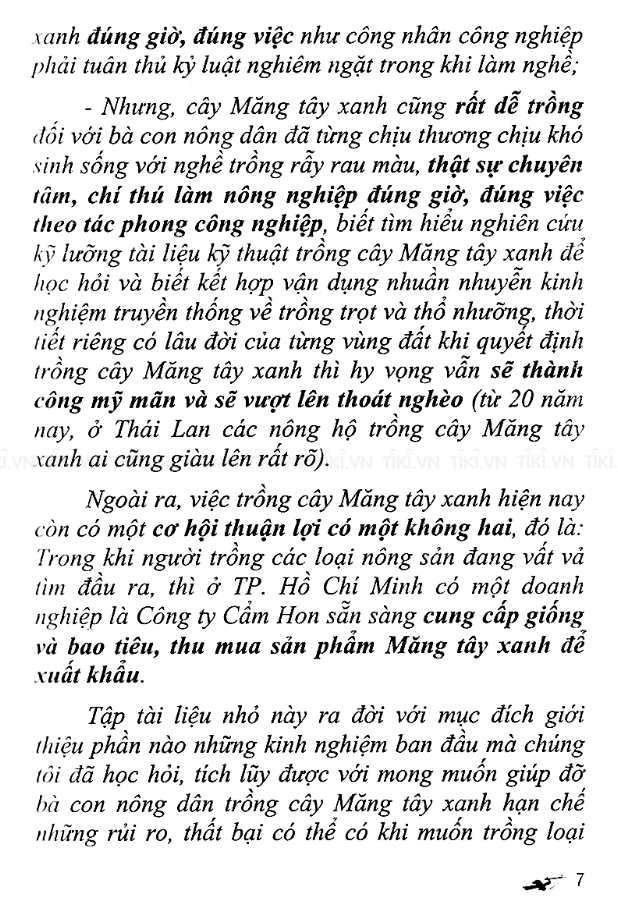 Kỹ Thuật Trồng Và Chăm Sóc Cây Măng Tây Xanh