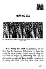 Kỹ Thuật Trồng Và Chăm Sóc Cây Măng Tây Xanh