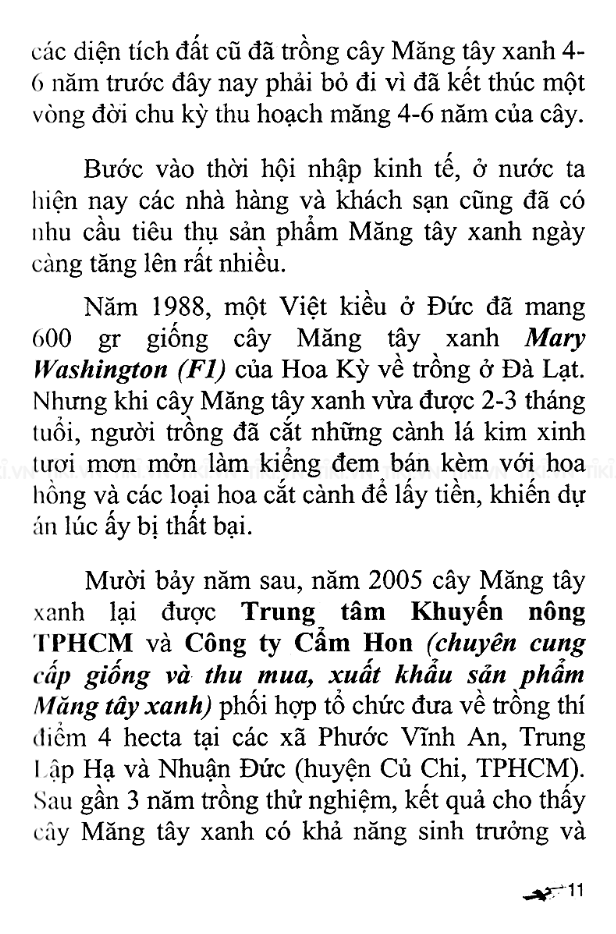 Kỹ Thuật Trồng Và Chăm Sóc Cây Măng Tây Xanh