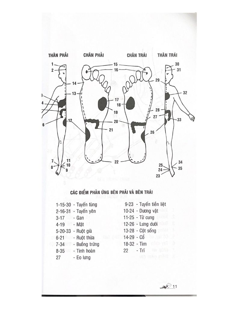 Bấm huyệt bàn chân (Tái bản 2023) - Vanlangbooks