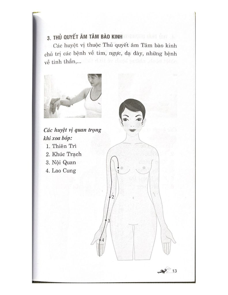 Day Ấn Xoa Bóp - Trị Liệu 20 Bệnh Thường Gặp (Tái Bản 2023)-Vanlangbooks