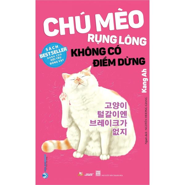 Chú mèo rụng lông không có điểm dừng