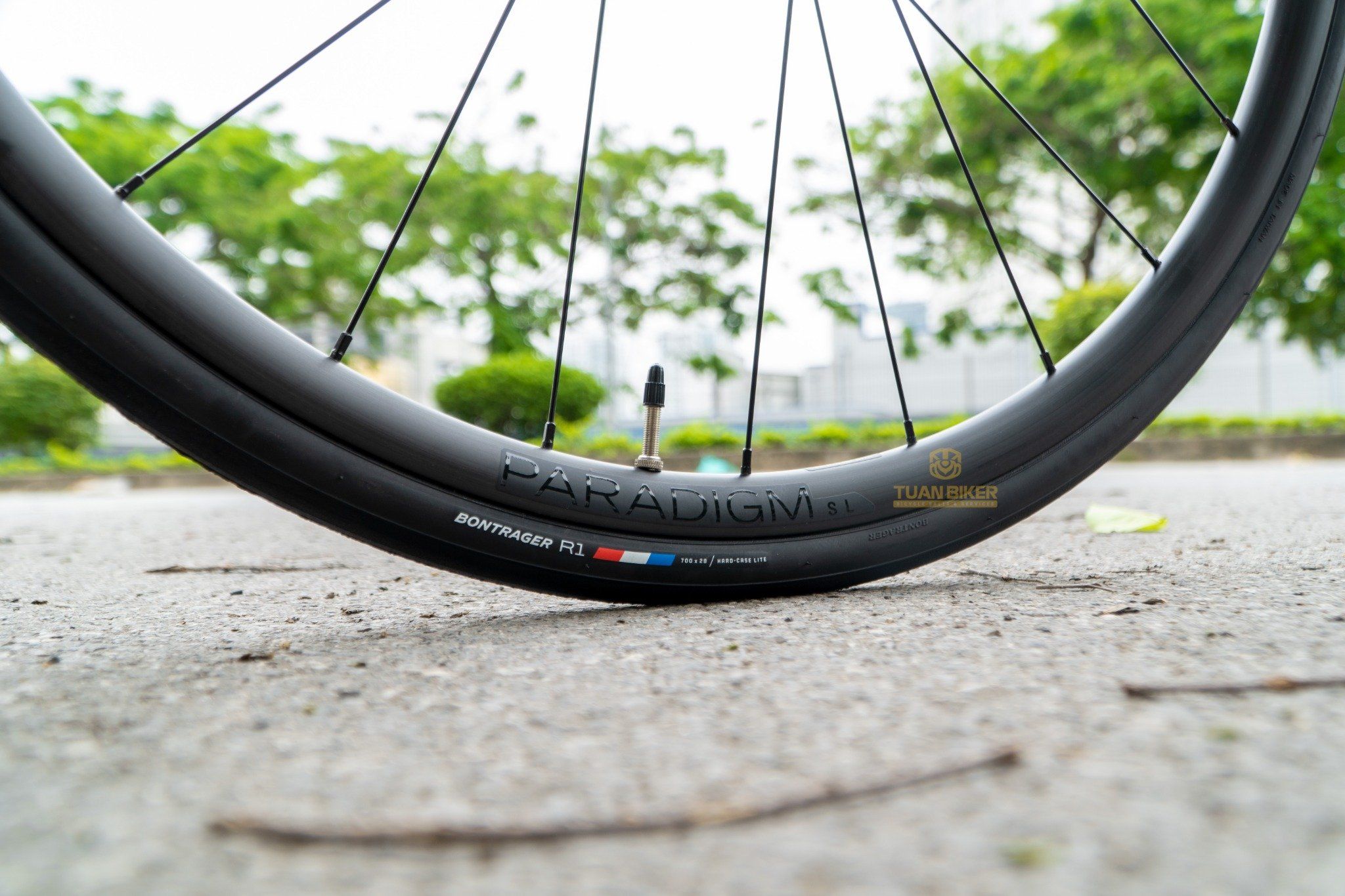 TREK ÉMONDA SL 5 DISC