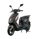 XE ĐIỆN EVGO C